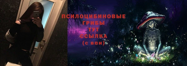 бошки Бородино