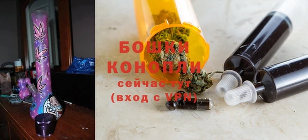 бошки Бородино