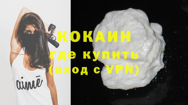 бошки Бородино