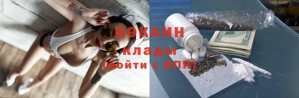 гидра Бронницы