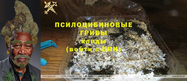 гидра Бронницы