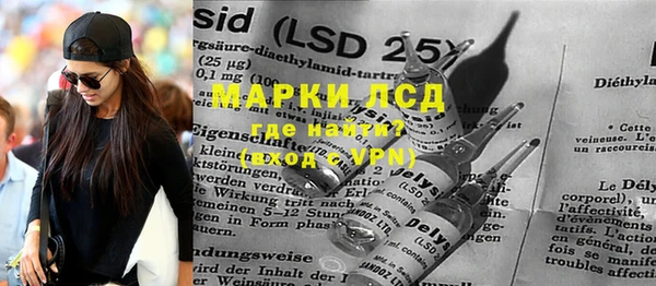 ПСИЛОЦИБИНОВЫЕ ГРИБЫ Пересвет