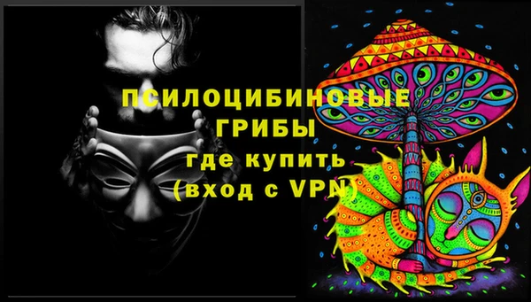 гидра Бронницы